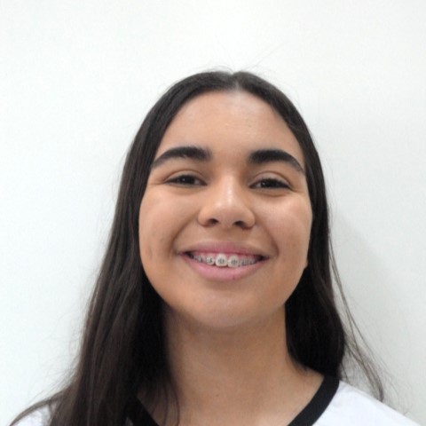 Guardinha